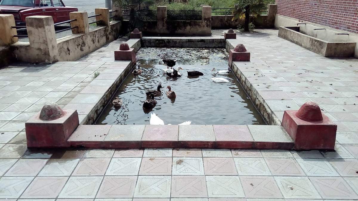 Astara: dağlar, şəlalə və dəniz — Yanar Bulaq, Sım kəndi və bulvar